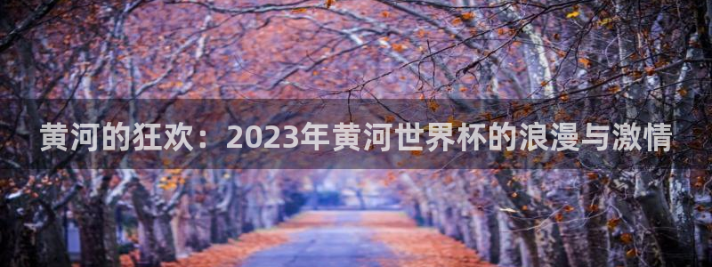 足球杯：黄河的狂欢：2023年黄河世界杯的浪漫与激情