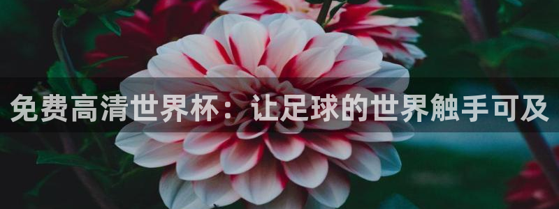 世界杯2026比赛时间表：免费高清世界杯：让足球的世界触手可及