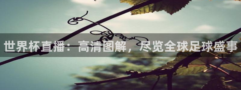 世界杯亚洲预选赛18强赛程：世界杯直播：高清图解，尽览全球足球盛事