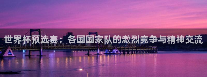 2026年足球世界杯赛程时间表：世界杯预选赛：各国国家队的激烈竞争与精神交流