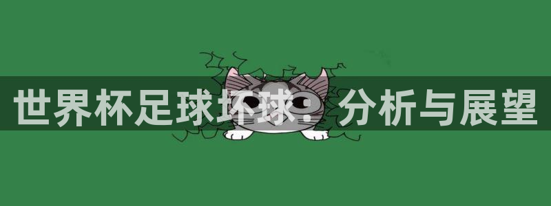 足球世界杯赛程：世界杯足球坏球：分析与展望