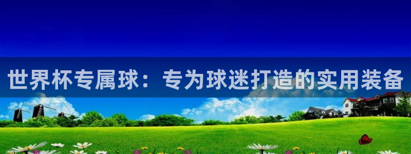 世界杯直播高清：世界杯专属球：专为球迷打造的实用装备