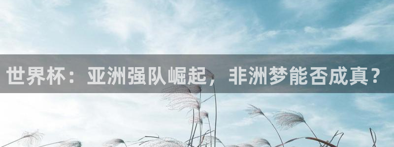2026男足世界杯：世界杯：亚洲强队崛起，非洲梦能否成真？