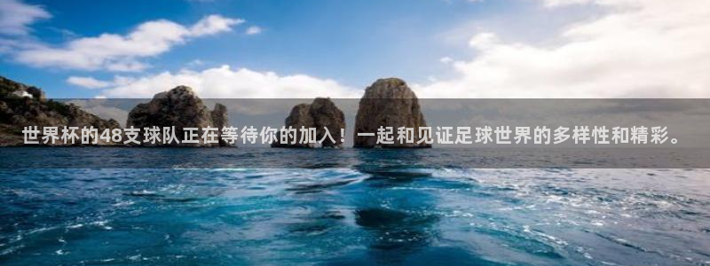 世界杯：世界杯的48支球队正在等待你的加入！一起和见证足球世界的多样性和精彩。