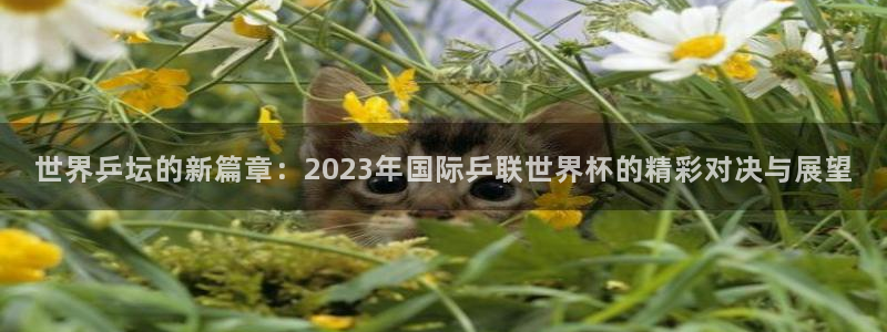 亚洲杯比赛直播:世界乒坛的新篇章:2023年国际乒联世界杯的精彩对决与展望