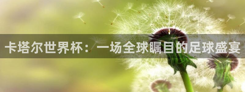 世界杯欧洲区世预赛赛程：卡塔尔世界杯：一场全球瞩目的足球盛宴