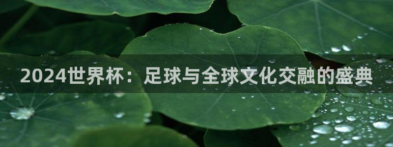 2026足球世界杯赛程：2024世界杯：足球与全球文化交融的盛典