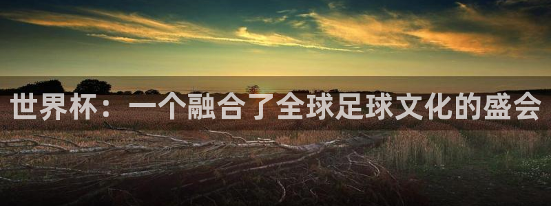 世界杯附加赛赛程表：世界杯：一个融合了全球足球文化的盛会