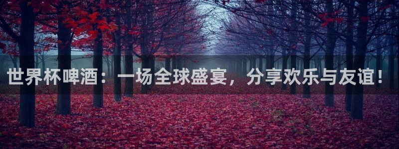 世界杯预选赛欧洲赛区赛程：世界杯啤酒：一场全球盛宴，分享欢乐与友谊！