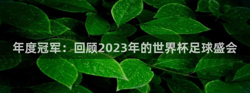 2026世界杯对阵图：年度冠军：回顾2023年的世界杯足球盛会