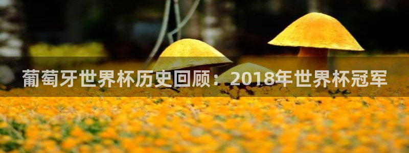 2026世界杯中国队：葡萄牙世界杯历史回顾：2018年世界杯冠军