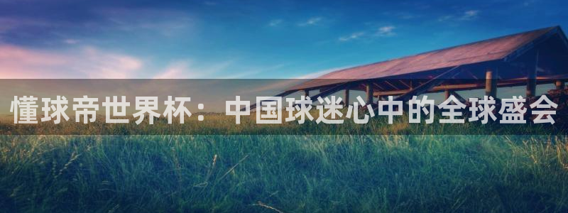 2026世界杯亚洲区预选赛：懂球帝世界杯：中国球迷心中的全球盛会