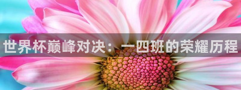 世界杯 赛程：世界杯巅峰对决：一四班的荣耀历程